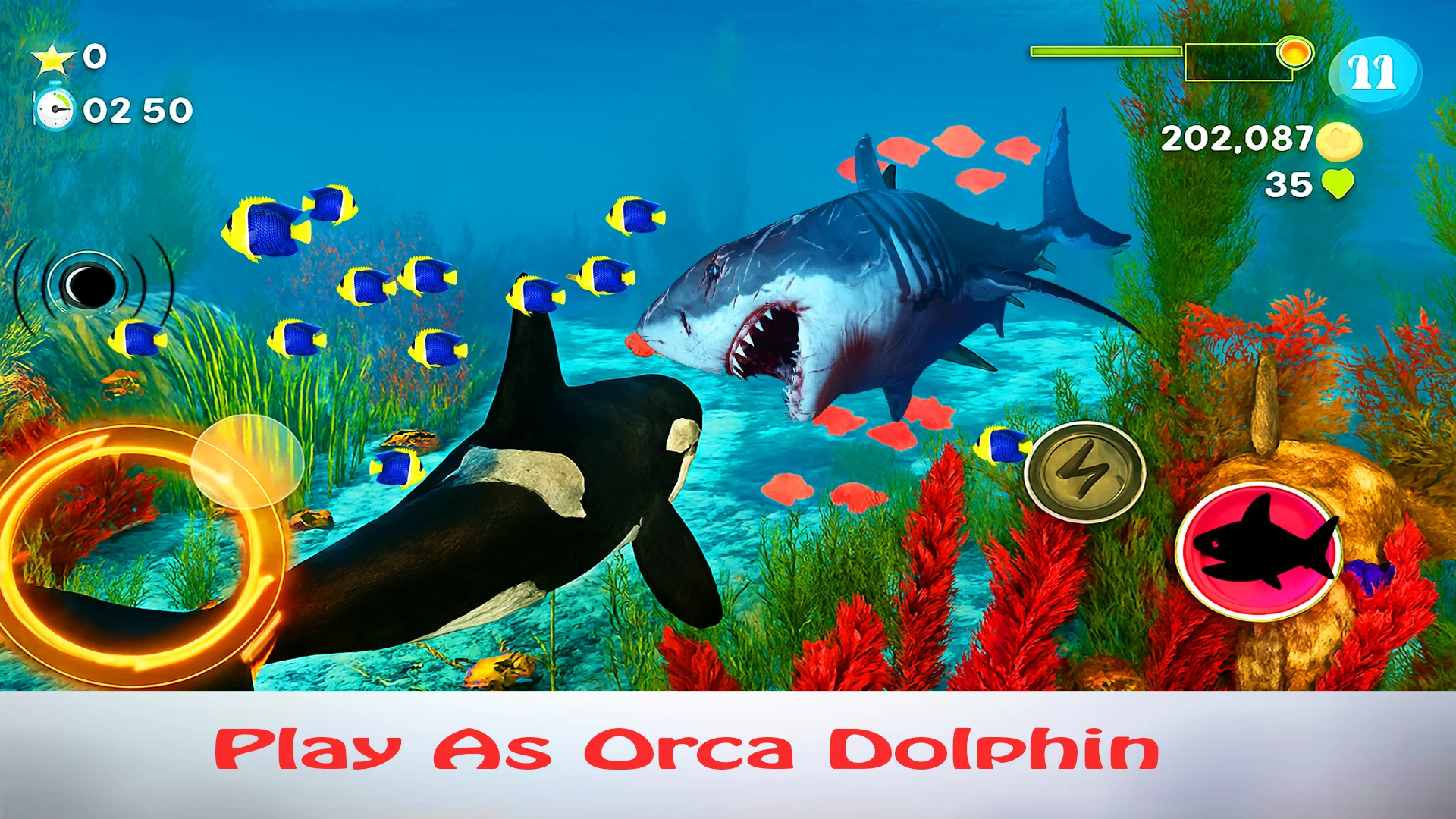 Dolphin Evolution: Ocean World screenshot